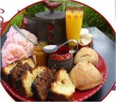 Le Nid Perche Bed and Breakfast Saint-Sauveur-en-Puisaye Eksteriør billede